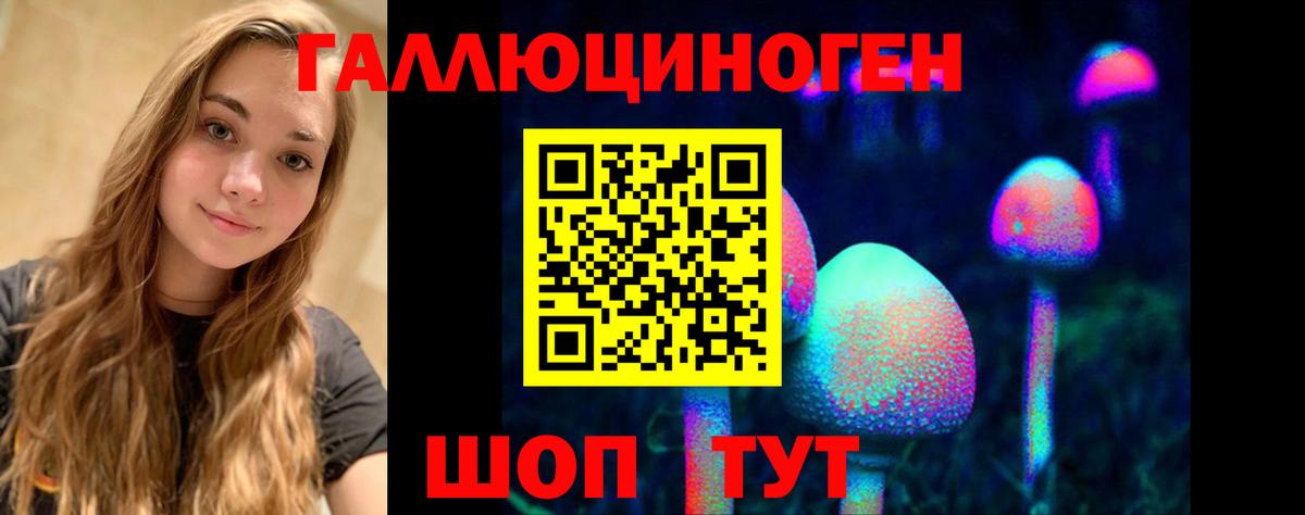 Псилоцибиновые грибы Psilocybine cubensis Вязники